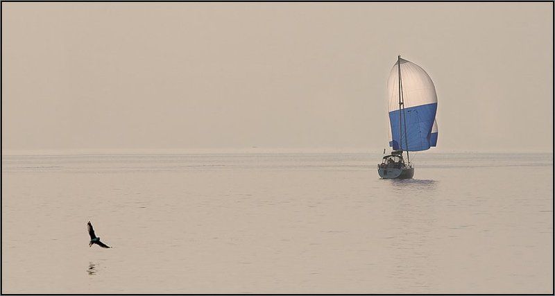 Вечерняя дымка фото превью