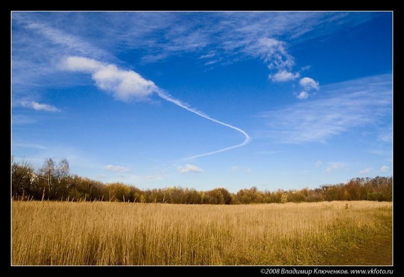 Желтое с синим фото превью
