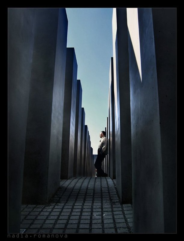 jungles фото превью