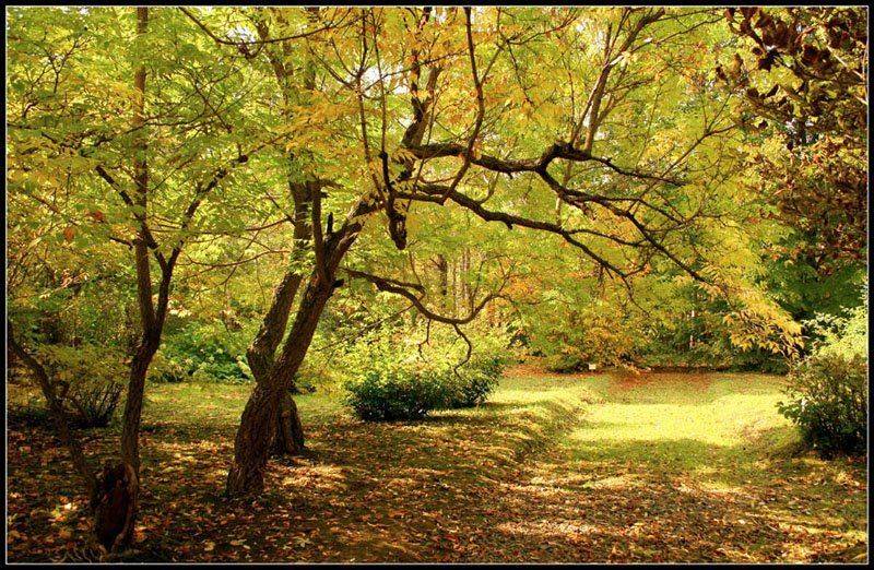 , VTORNIK Эдуард Николаев