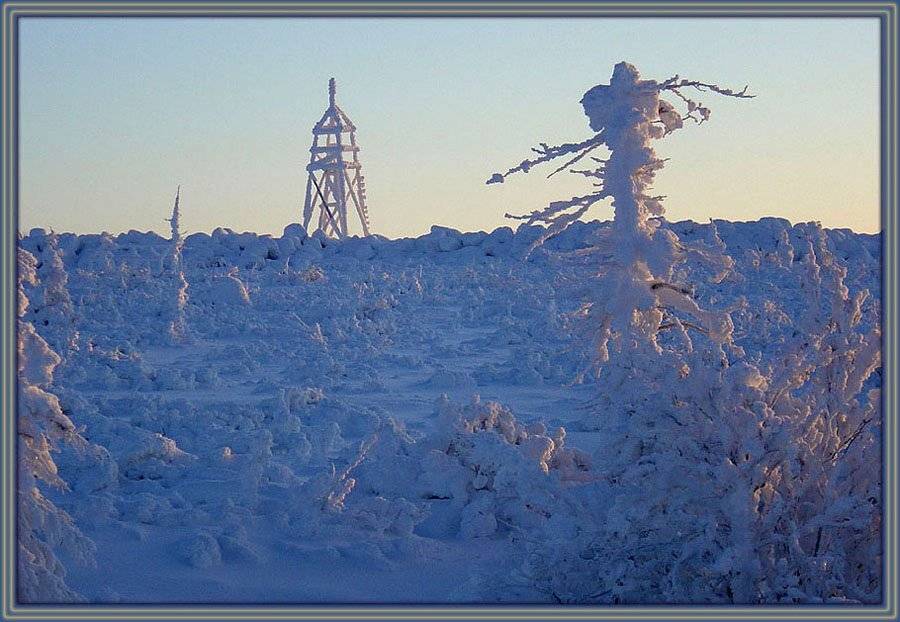зима, Солодухин Виктор