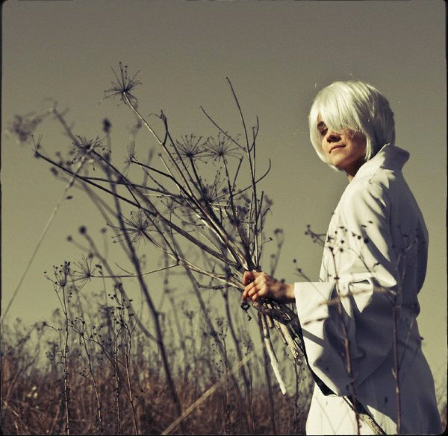 сено, ксандер, Яна Денисенко