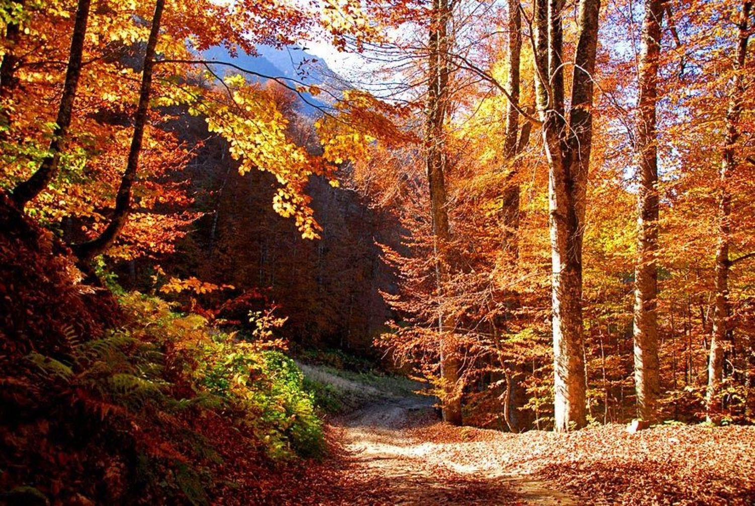 , Владимир Ко