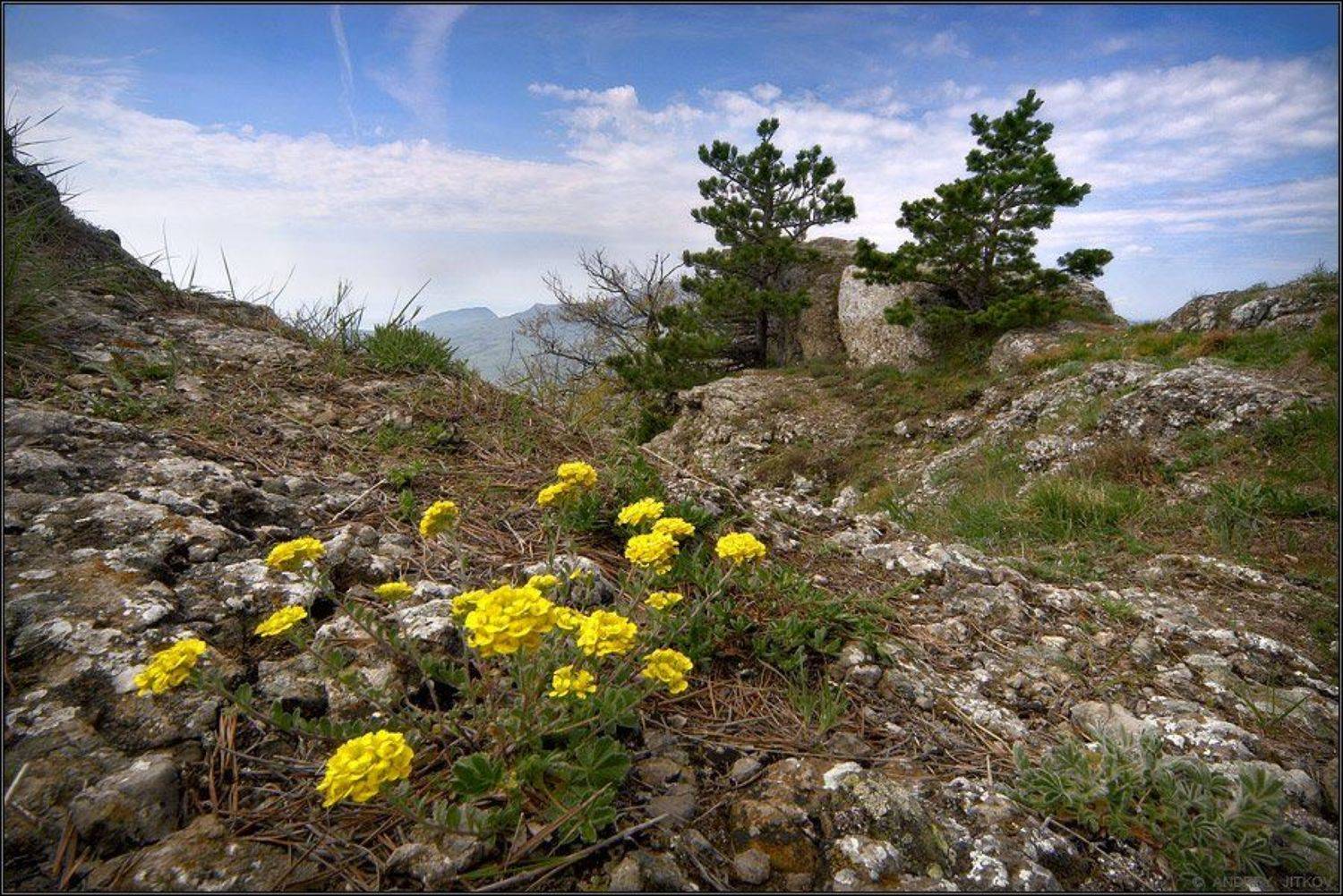 крым, горы, пейзаж, Андрей Житков