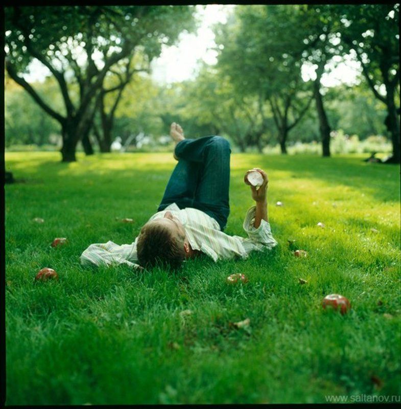 Сентябрьские яблоки в Коломенском. фото превью