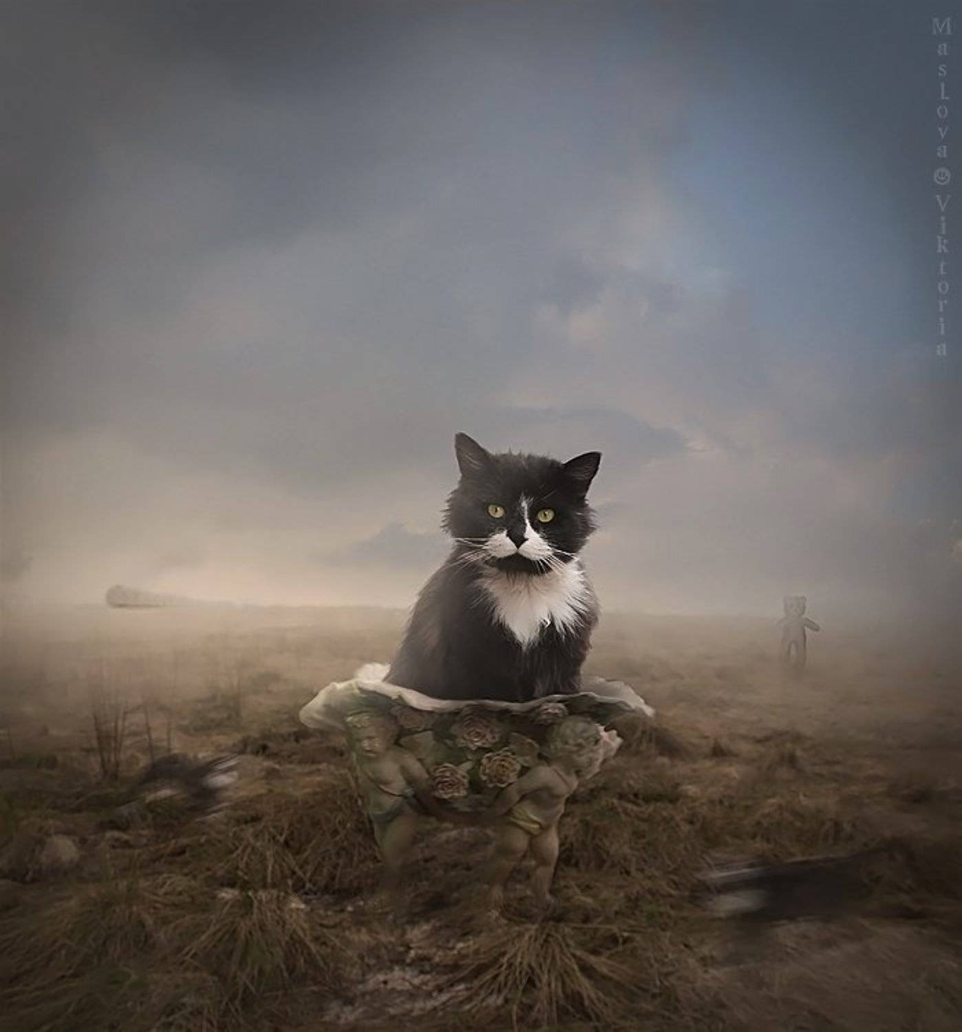 мишка, путешествие, кот, bioskiss