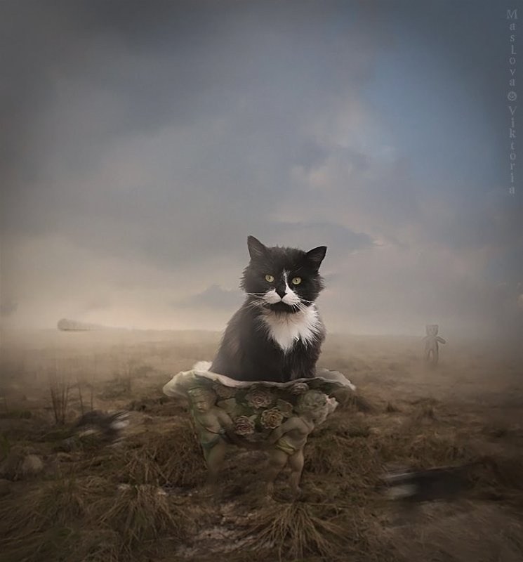 мишка, путешествие, кот Кто-то фото превью