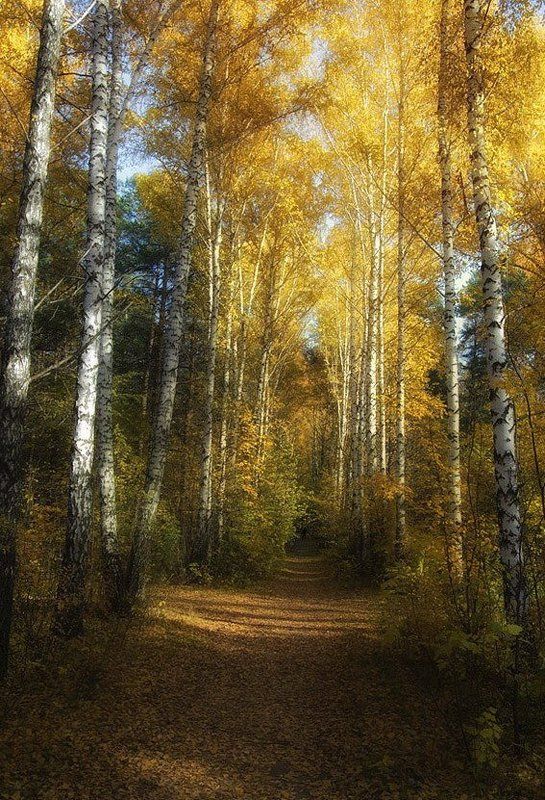 осенние зарисовки фото превью