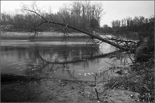 Ходют рыбы :)