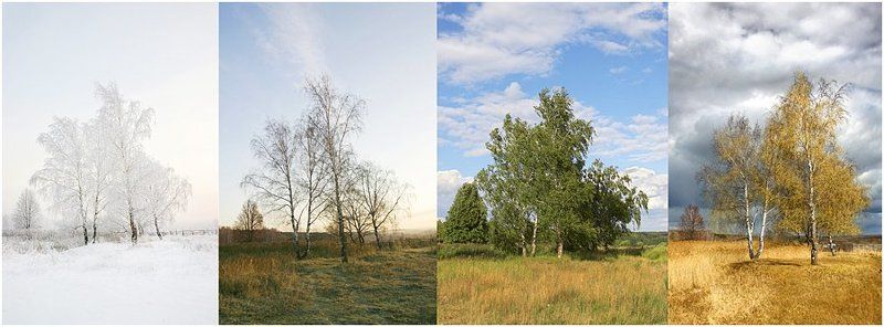 Времена года фото превью