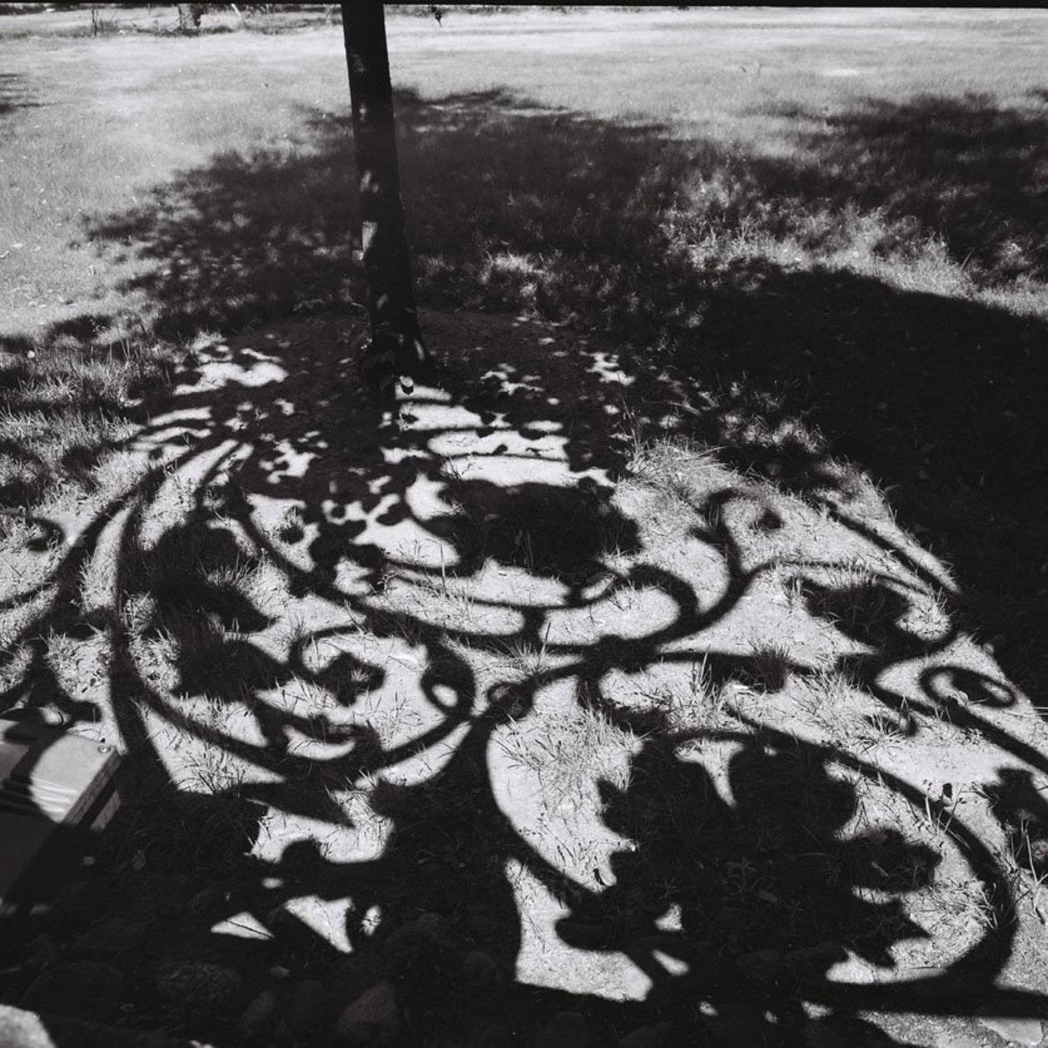 6х6,фотоплёнка,негатив, ч\б, Sergey Tarba