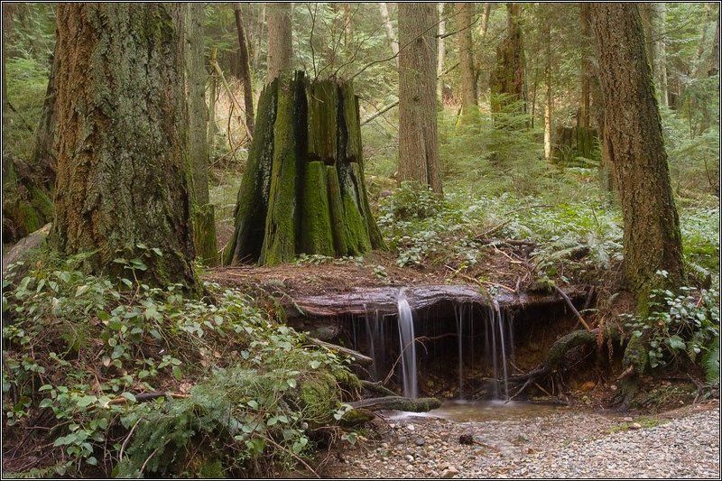 Тайна рождения фото превью