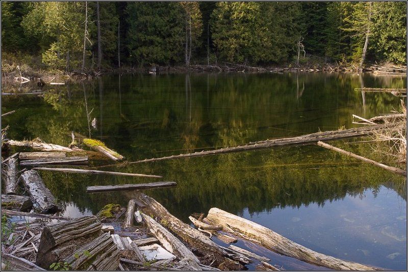 Посреди тайги фото превью