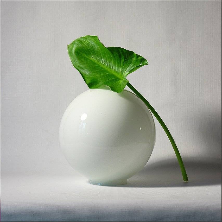 шар, лист, кала, белый,зеленый, Aushra