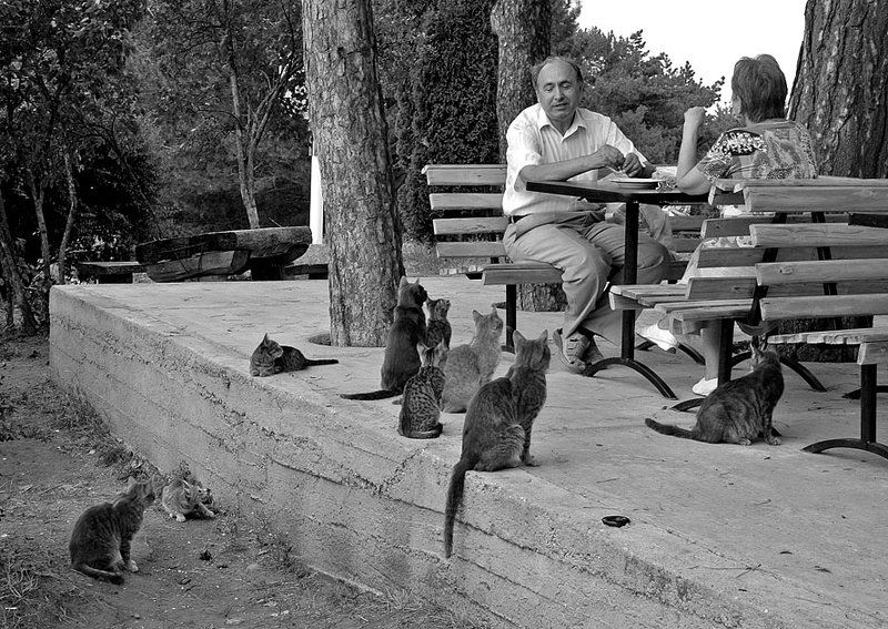 9 Х 2 фото превью