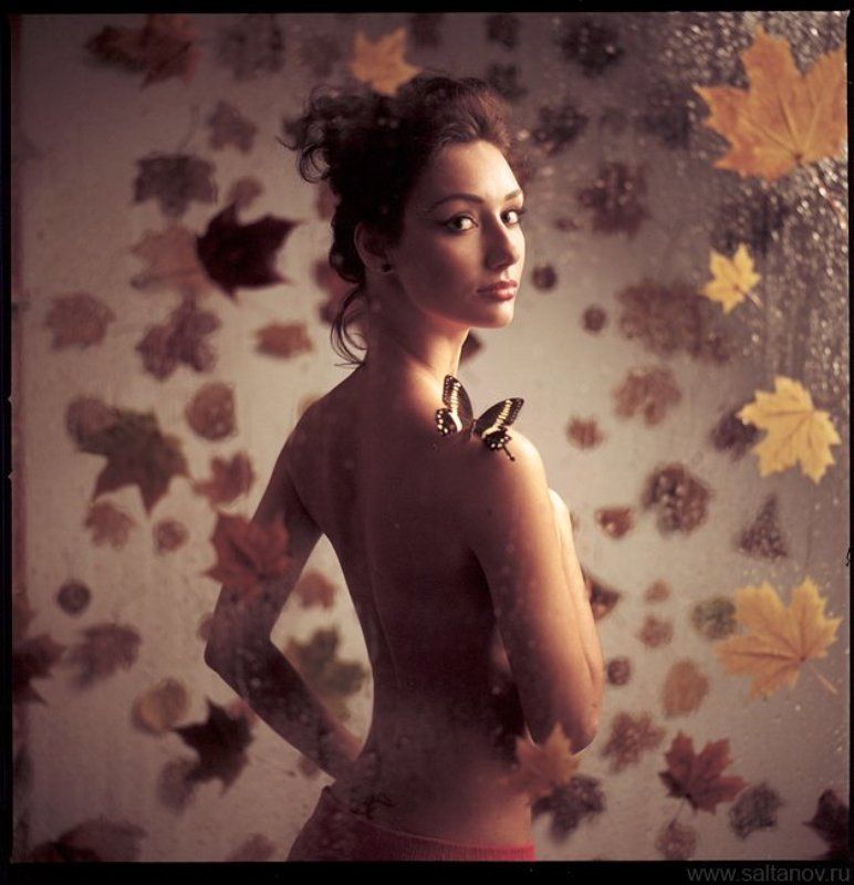 Бабочка умирает в понедельник. фото превью