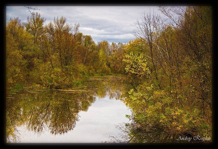 киев, парк дружбы народов, осень, Андрей Крепких (Sound Wave)