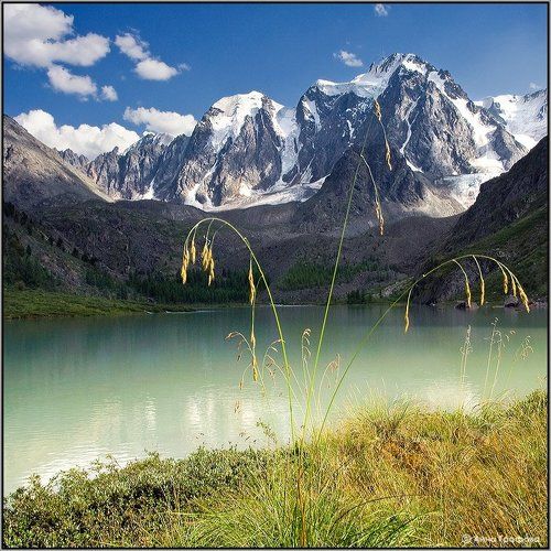 В гостях у Сказки (Красавицы и Мечты)