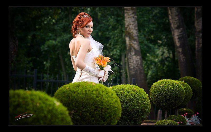 свадебная фото превью