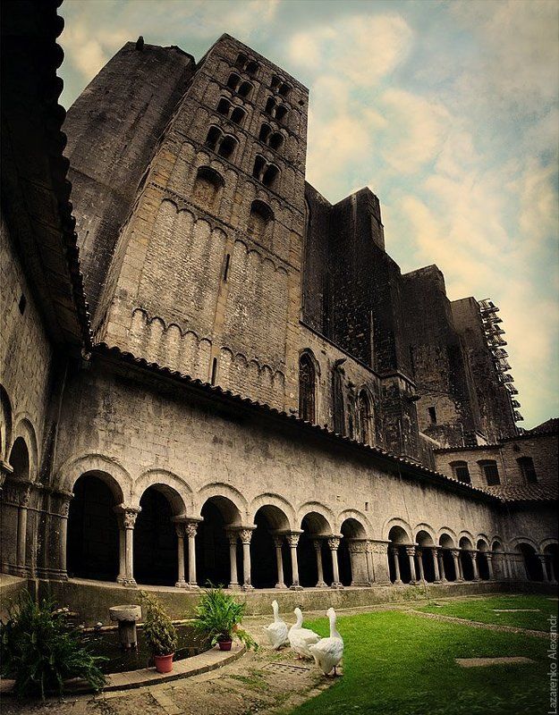 испания, готика, храм, молитва, гуси, три гуся, на утреннюю молитву фото превью