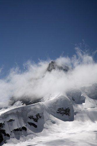 Альпийская №1