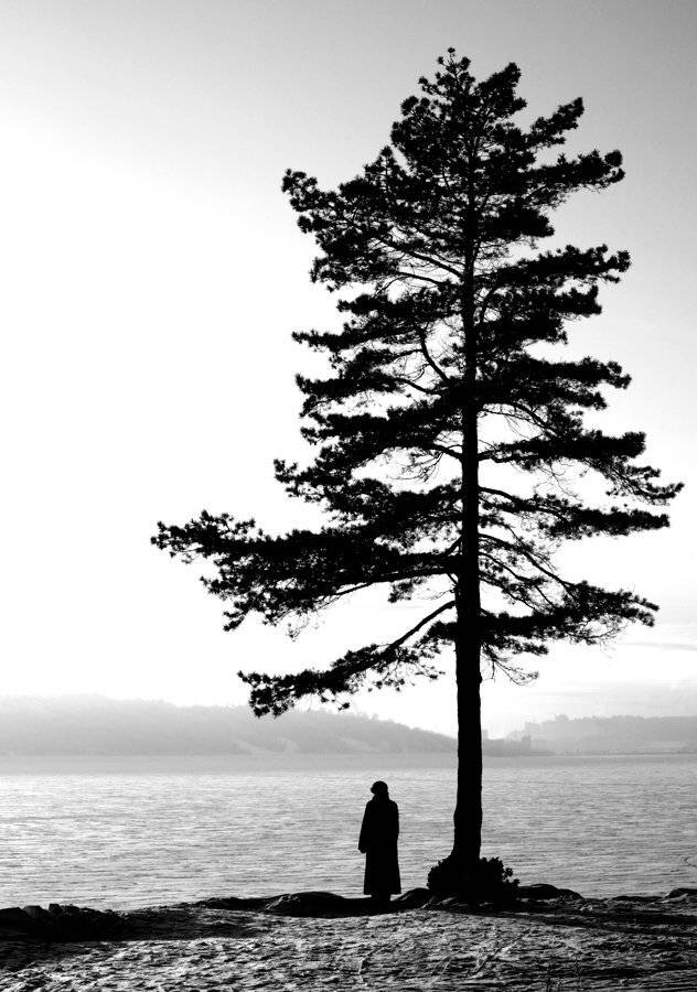 , Николай Шелепов