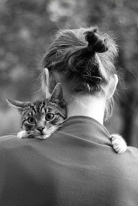 девушка, кот., senjor