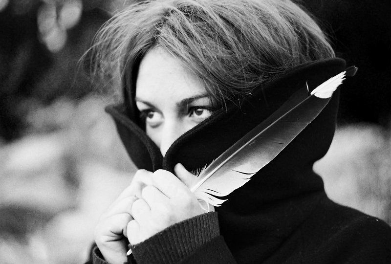 птица, перья . фото превью