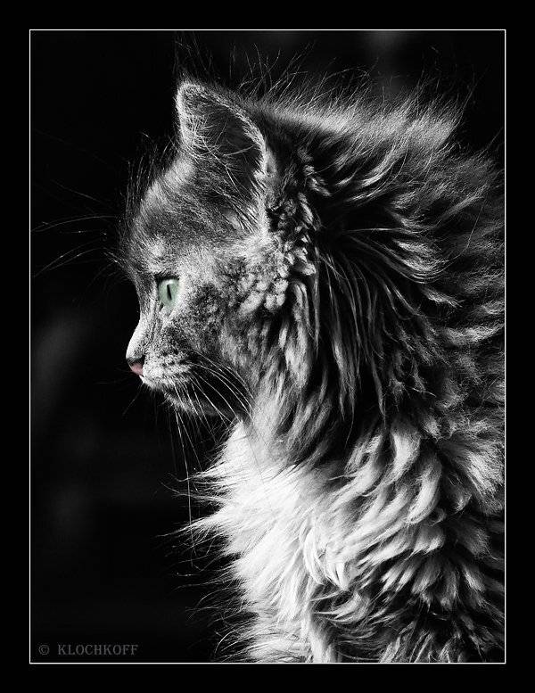 , Олег Клочков