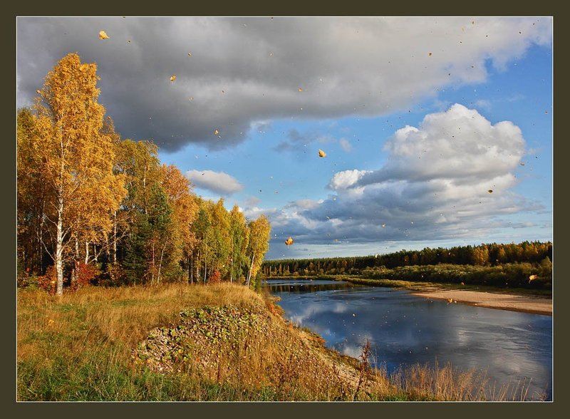 Просто осень... фото превью