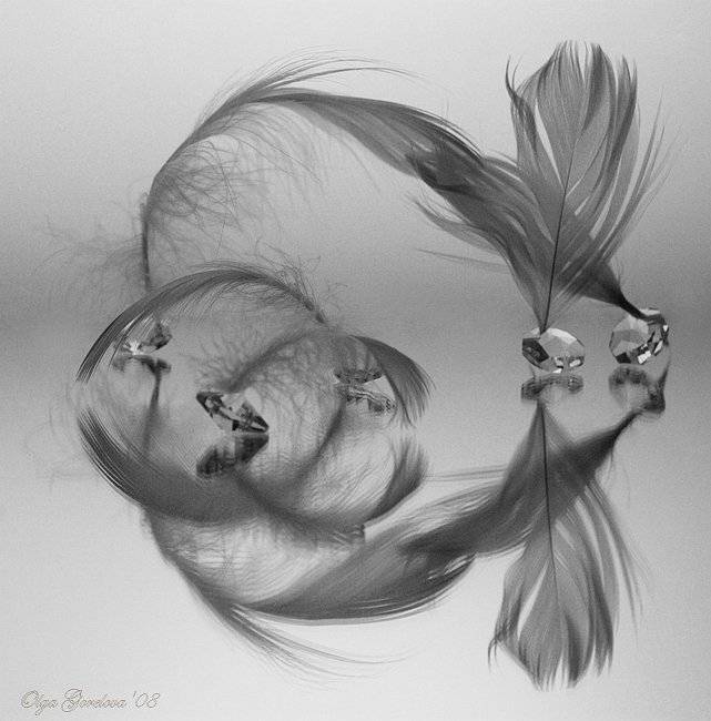 фото, перо, натюрморт, Olga Gorelova