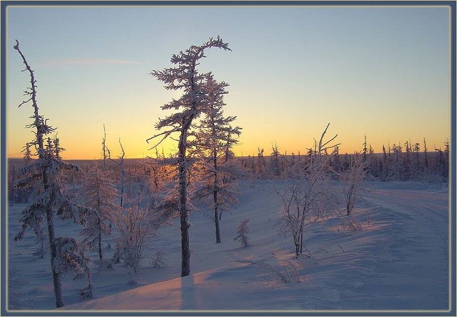 поворот,тайга,вечер, Солодухин Виктор