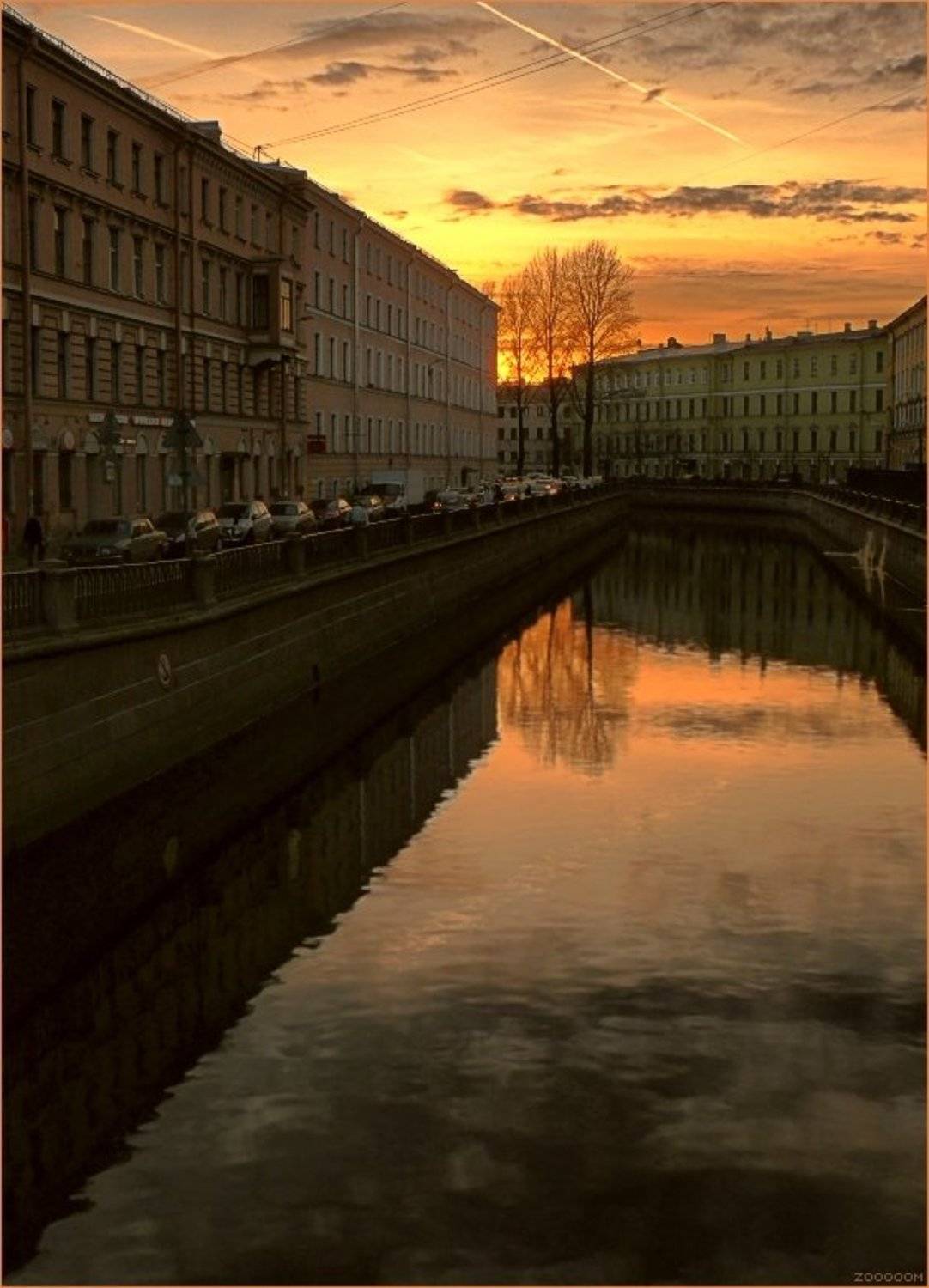 петербург, Алексей (zooooom)