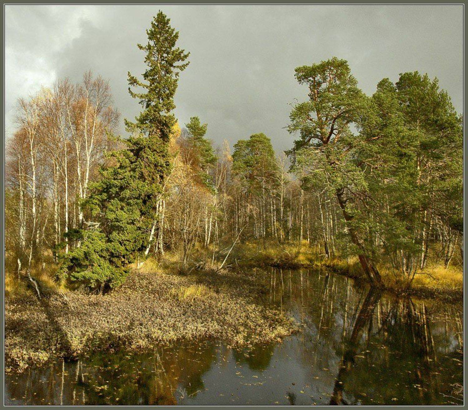 , Зайцев Владимир