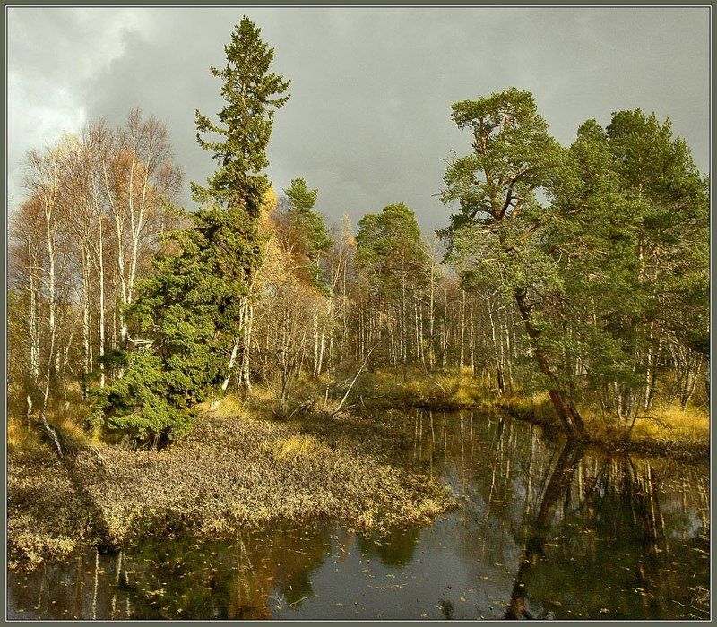 Унылая пора... фото превью