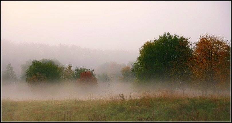 осень, туман, рассвет, Григорий Иващенко