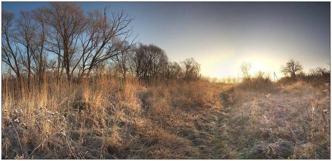 мороз, осень, фото, Алексей Строганов