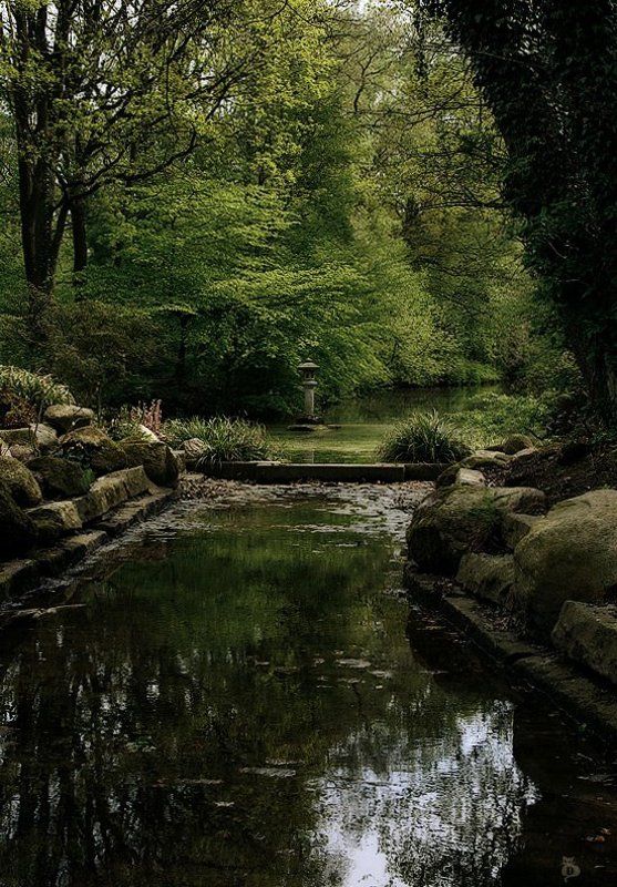 парк, весна, германия, бремен, рододендроны Есть в графском парке... фото превью