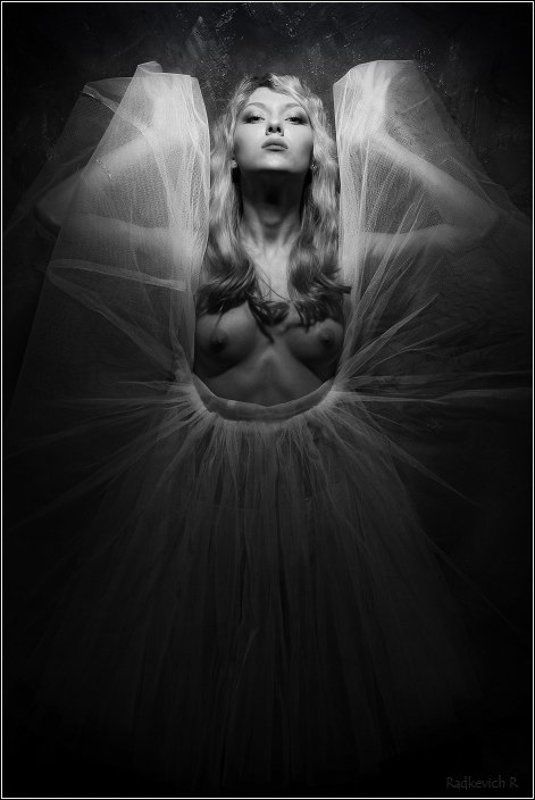 мотылек фото превью