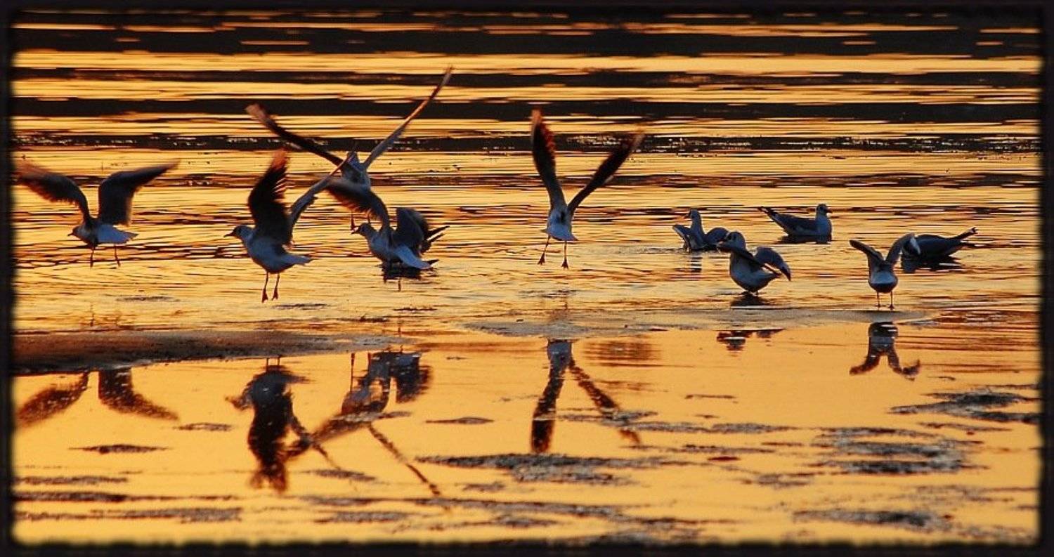 , Евгений Смердов