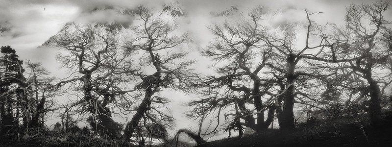 *** фото превью