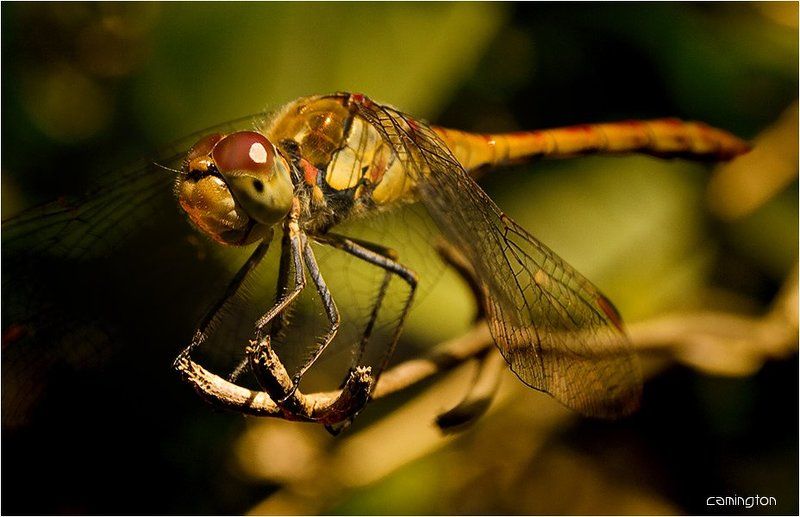 вечер трудного дня фото превью