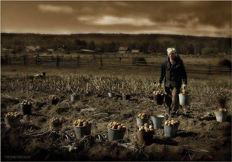 , Виктор Перякин