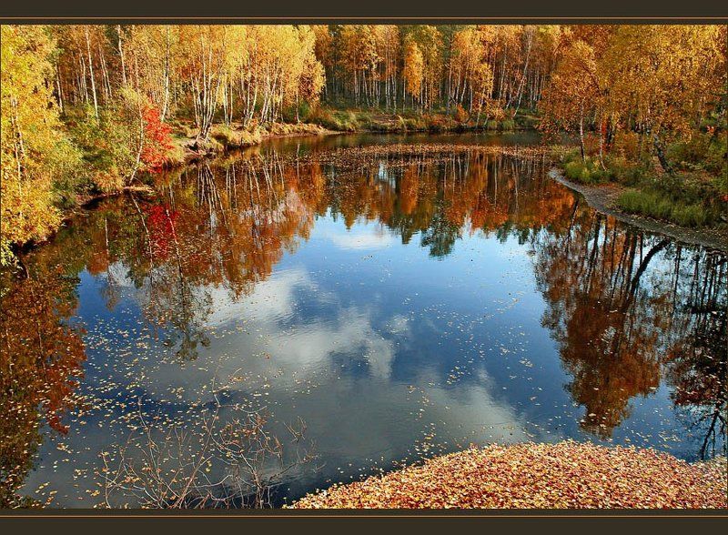 Осень идёт... фото превью