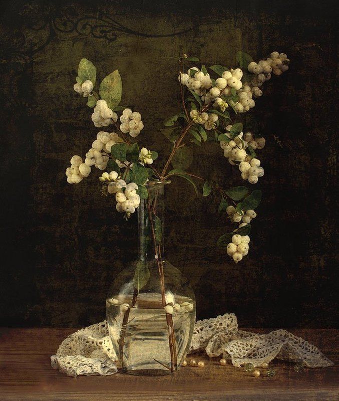 натюрморт Морозник фото превью