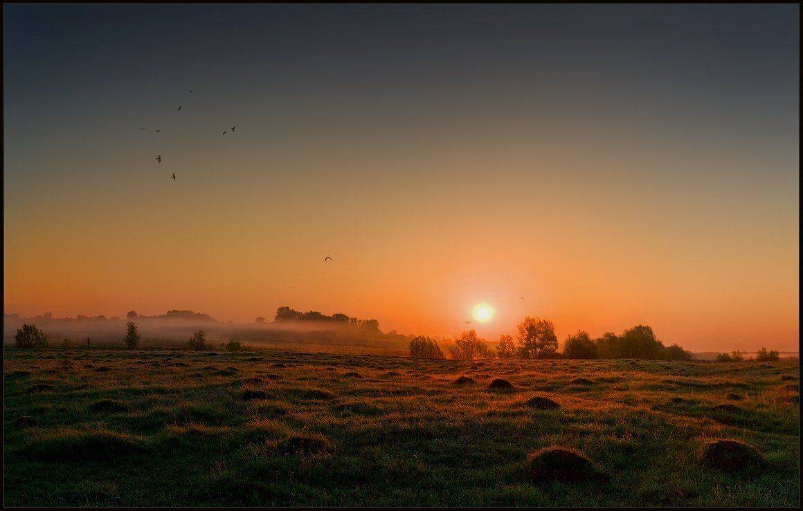 , Владимир Скляров