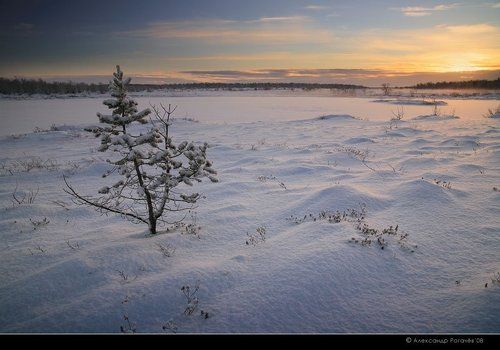 Зима-зима...