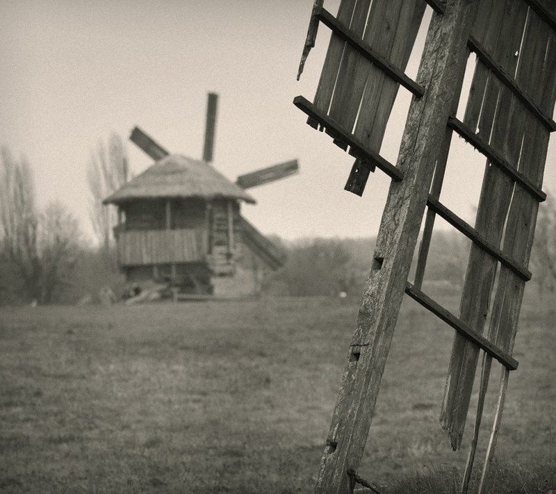 Я с предками своими говорю.... фото превью