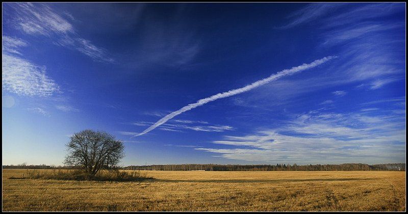 * * * фото превью