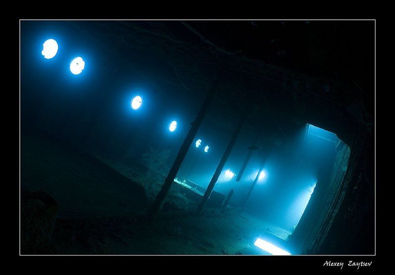 зайцев, подводное, фото, затонувший, корабль, красное, море, фотосафари Сияние фото превью